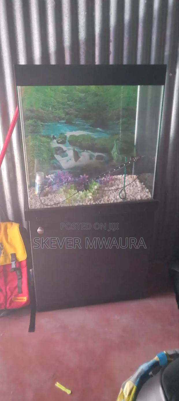 50 Litre Aquarium - main view