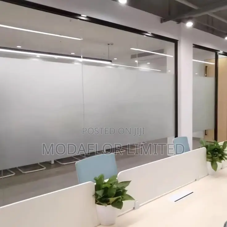 Frosted Privacy Window Sticker - Front Door Glass Film