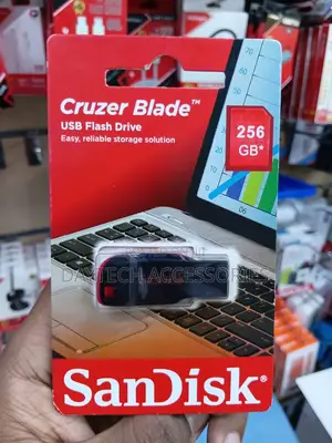 SanDisk Cruzer Blade 256GB USB 2.0 Flash Drive