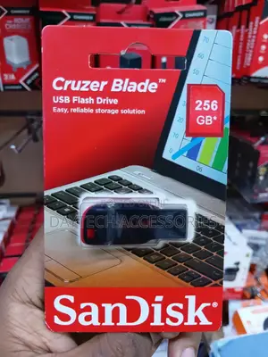 SanDisk Cruzer Blade 256GB USB 2.0 Flash Drive