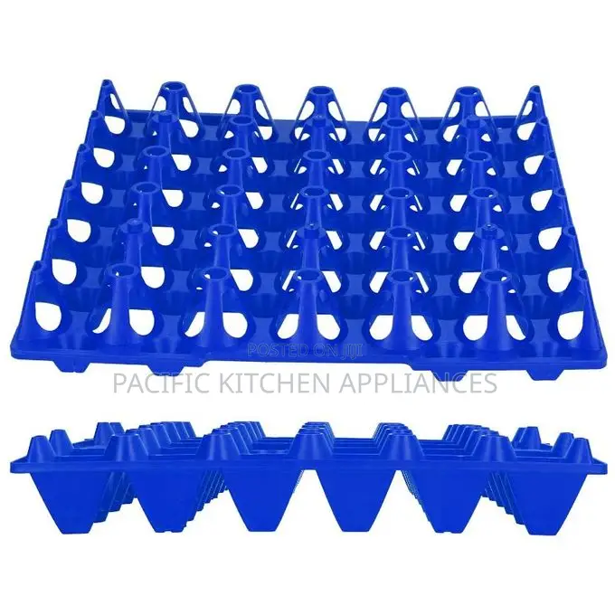 1 PC Plastic Eggs Tray Rack-30 Eggs Capacity