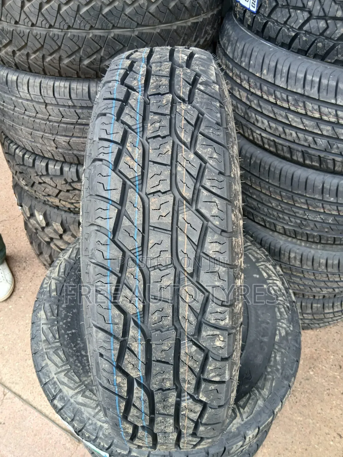 205r16C AT Grenlander