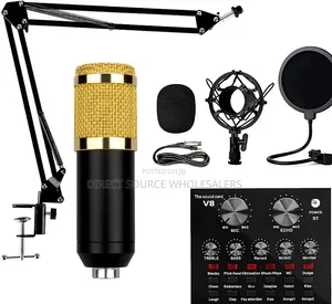 Hot Selling Condenser Microphone