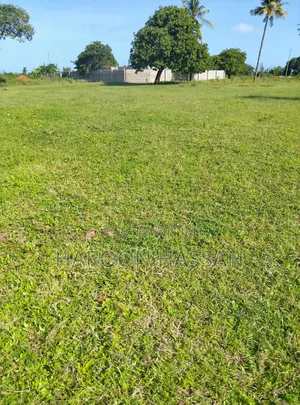 Plot for Sell Mtaangani Malindi