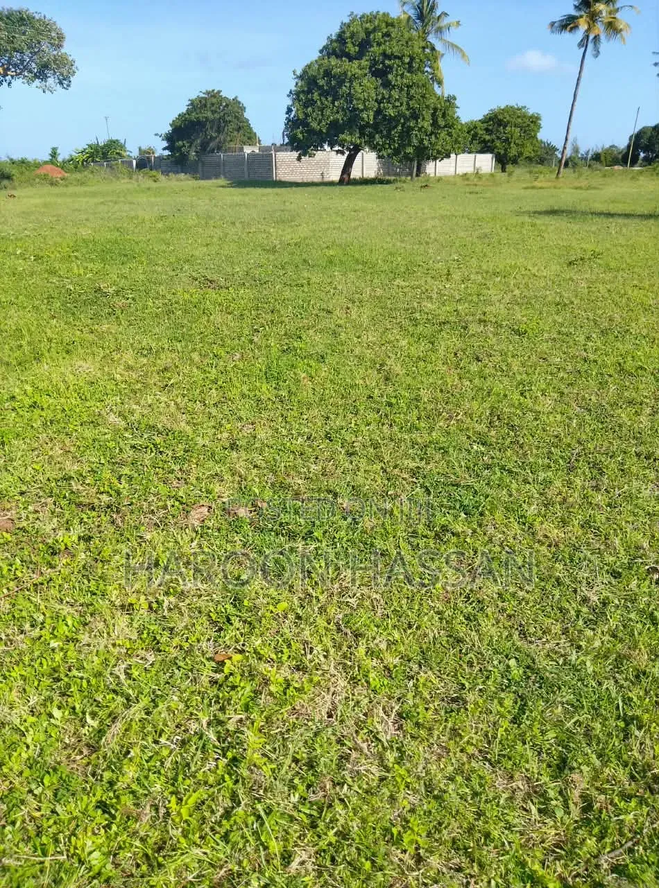 Plot for Sell Mtaangani Malindi