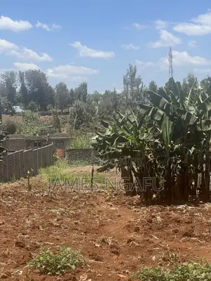 100by 100 Plot in Mugumo Estate