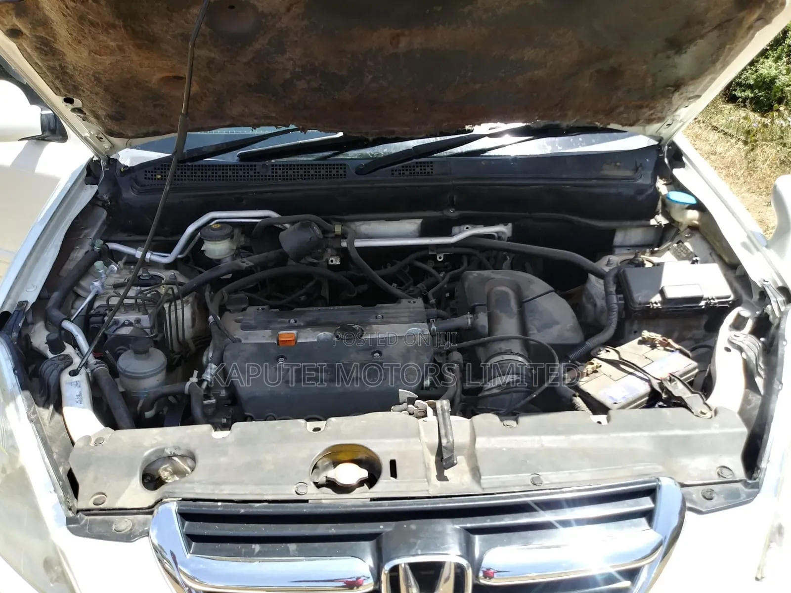 Honda CR-V 2004 White