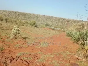 Land on Sale