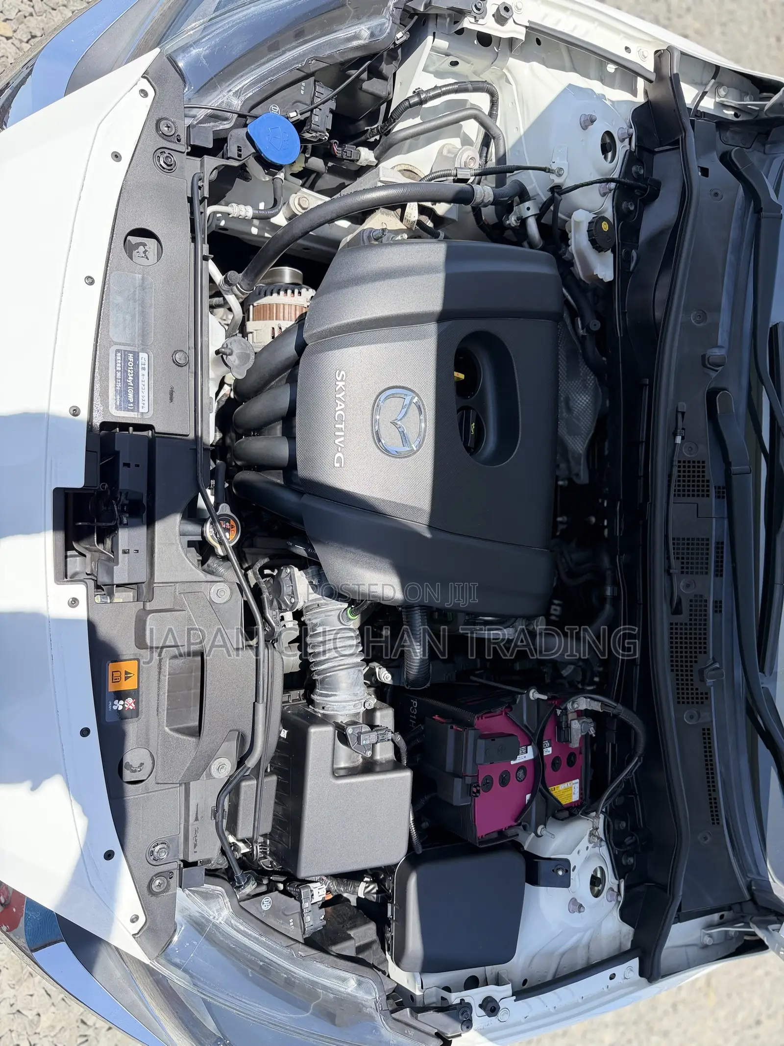 Mazda 2 2019 Pearl