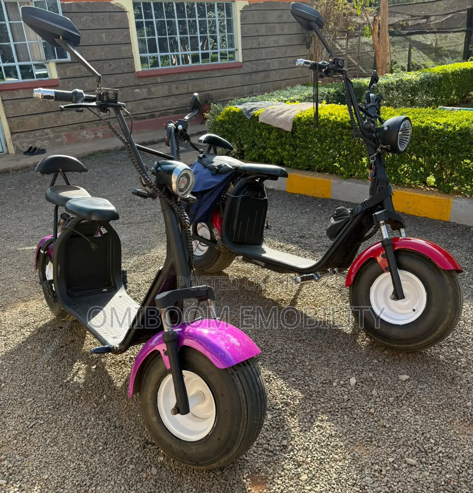 Motorcycle 2024 Purple