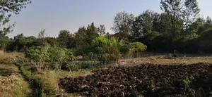 1⁄2 Acre Prime Residential Land in Karen