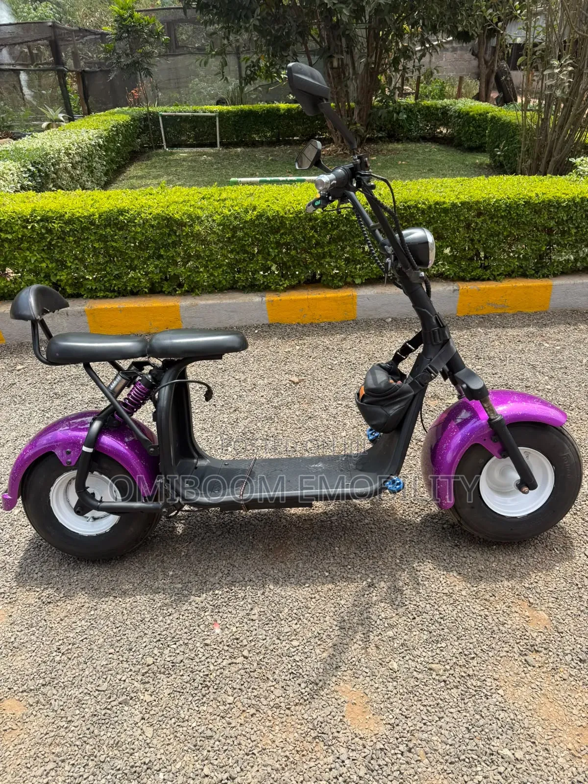 Motorcycle 2024 Purple