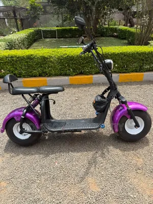 Motorcycle 2024 Purple