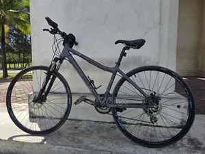 Carrera Gravel Bike