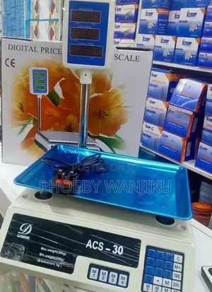 ACS 30KG Platform Scale With Arm
