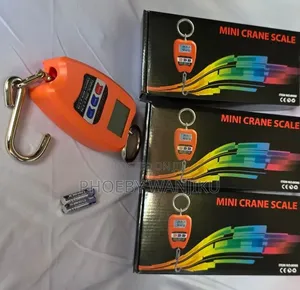 Portable Digital Mini Crane Scale