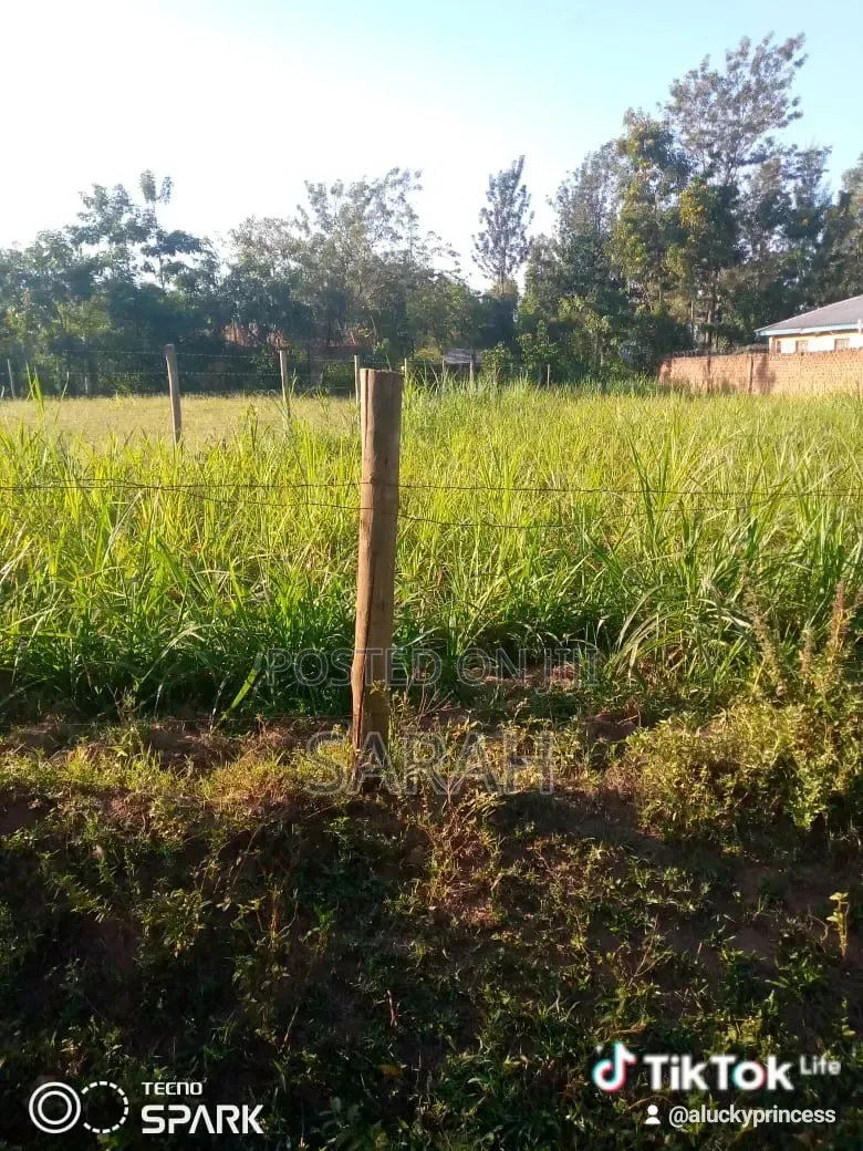 Plot for Sale