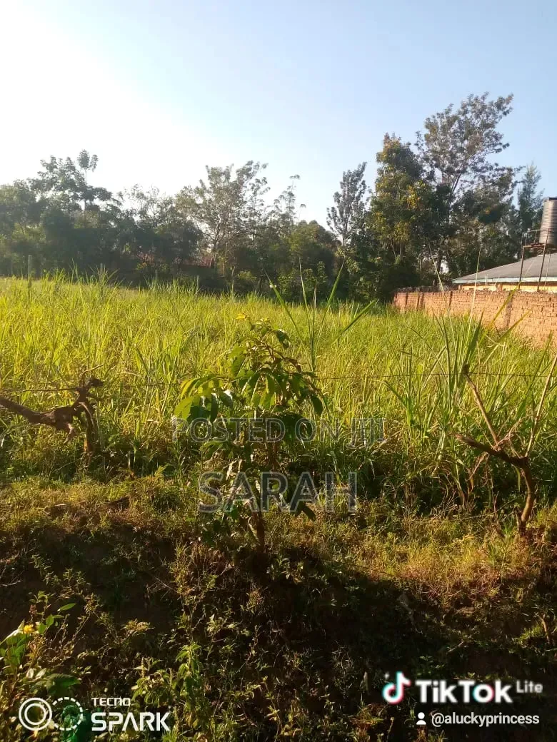 Plot for Sale