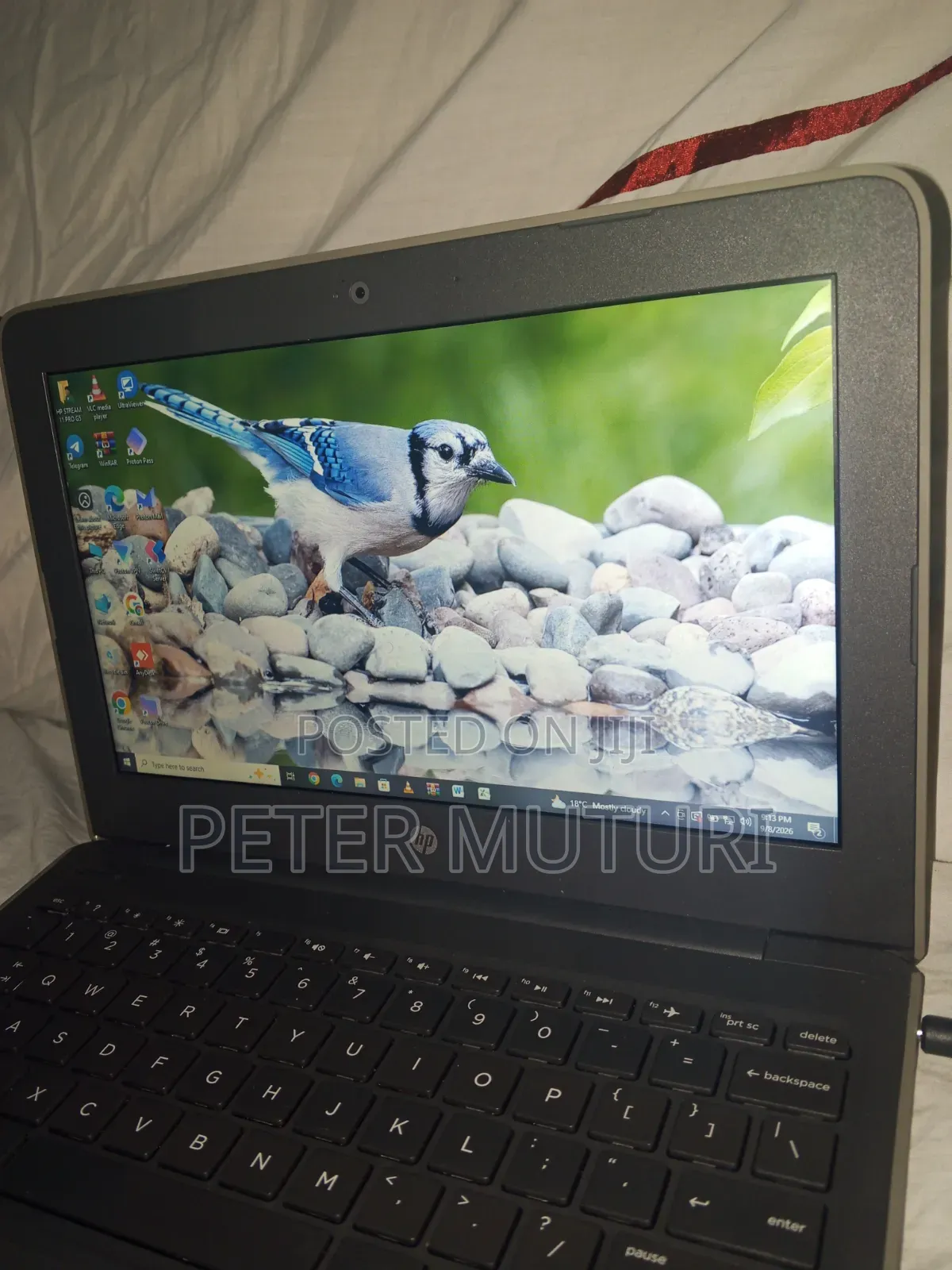 Laptop HP Stream 11 Pro G4 EE 4GB Intel Celeron eMMC 60GB