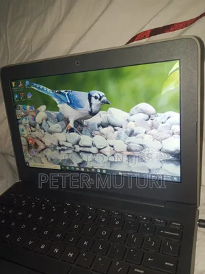Laptop HP Stream 11 Pro G4 EE 4GB Intel Celeron eMMC 60GB