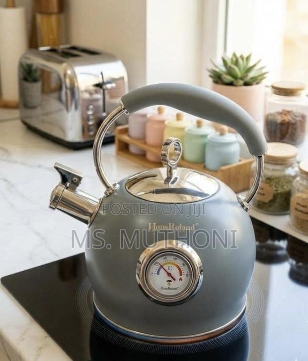Temperature Display Whistling Kettle (Induction Friendly ) - main view