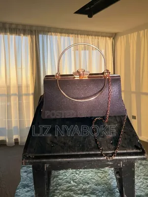 Shimmering Metallic Frame Clutch Bag With Chain