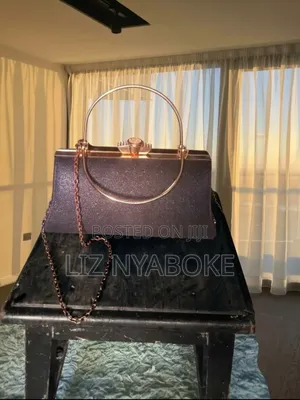 Shimmering Metallic Frame Clutch Bag With Chain