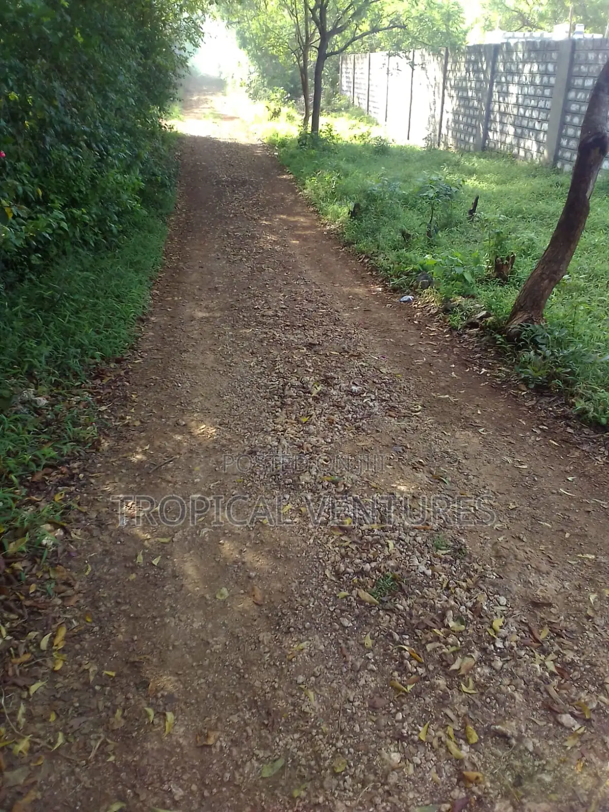 Beach Plot for Sale