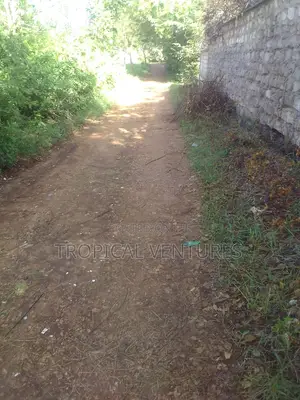Beach Plot for Sale