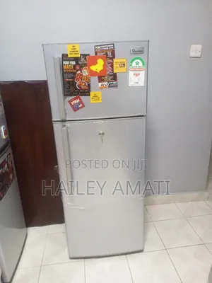 Ramon Fridge