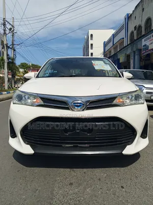 Toyota Corolla Fielder 2019 White