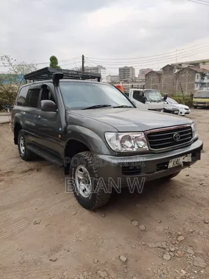 Toyota Land Cruiser 2005 Gray