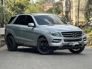 Mercedes-Benz M Class 2015 Silver