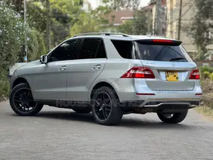Mercedes-Benz M Class 2015 Silver