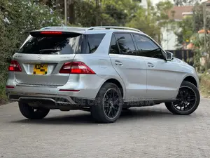 Mercedes-Benz M Class 2015 Silver