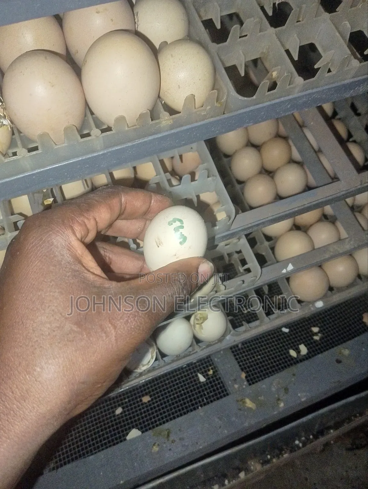 Professional Egg Incubator Repair and Servicing Nationwide.