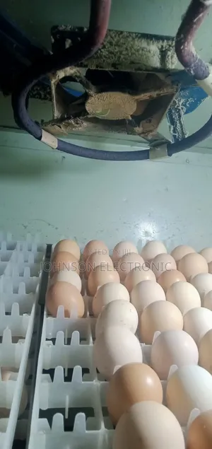 Professional Egg Incubator Repair and Servicing Nationwide.