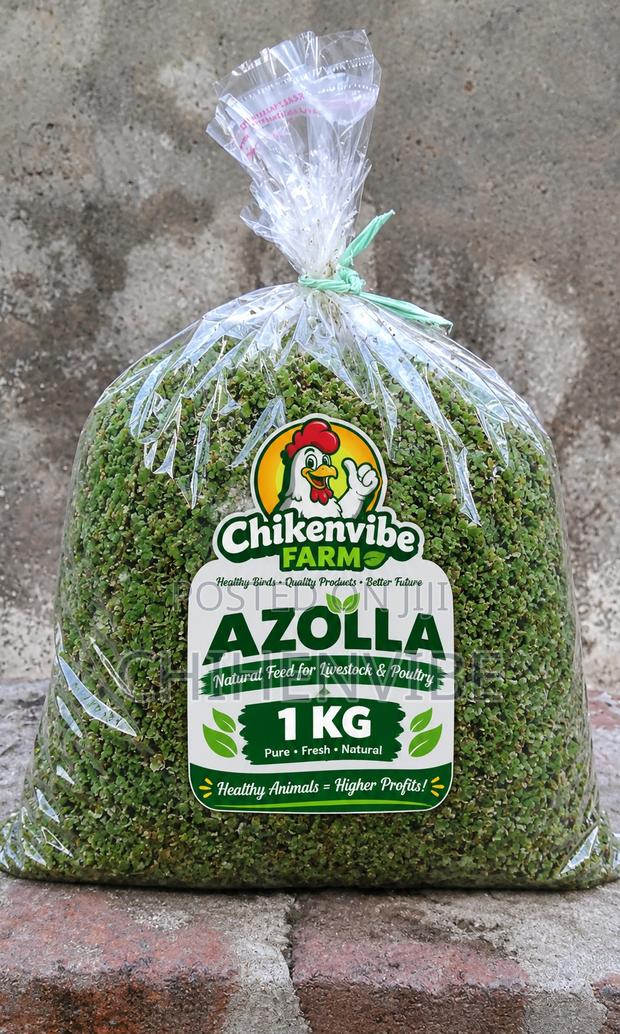 Chihen Azolla - main view