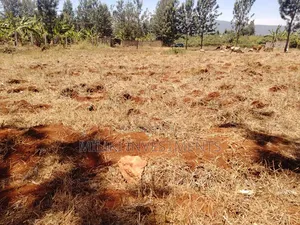1 Acre on Sale at Thika-Maguguni