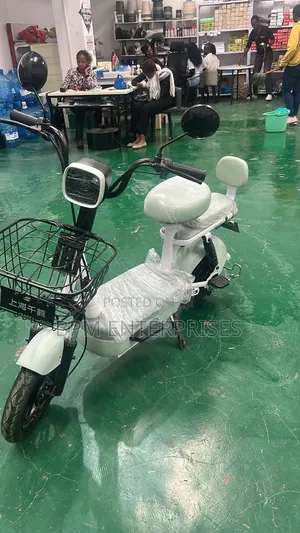 70km Electric Scooter + Free Gift