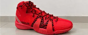 Li-Ning Badfive