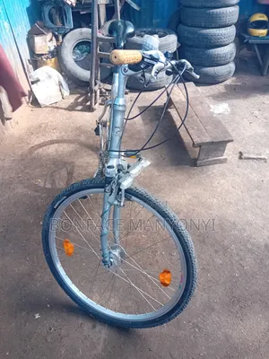 Giant Aluminum Bycicle