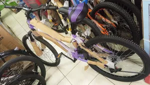 Reset 24" Mountain Bike 