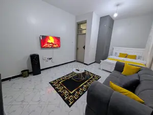 Executive Furnished Studio in Kitengela, Silver Oak
