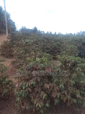 Land Sale in Murang'A
