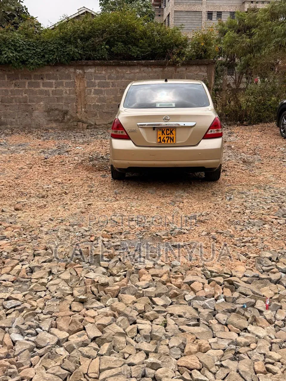 Nissan Tiida 2009 Gold