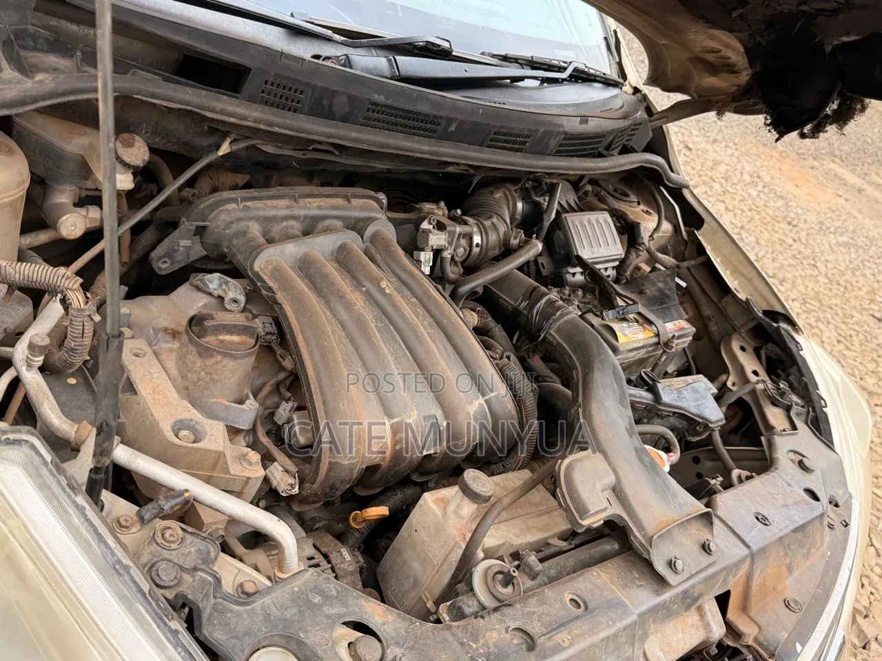 Nissan Tiida 2009 Gold