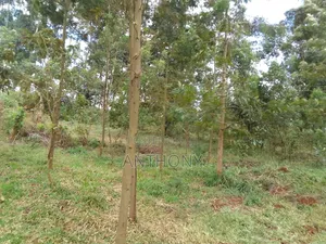 Tetu, Nyeri - 3 Acres for Sale