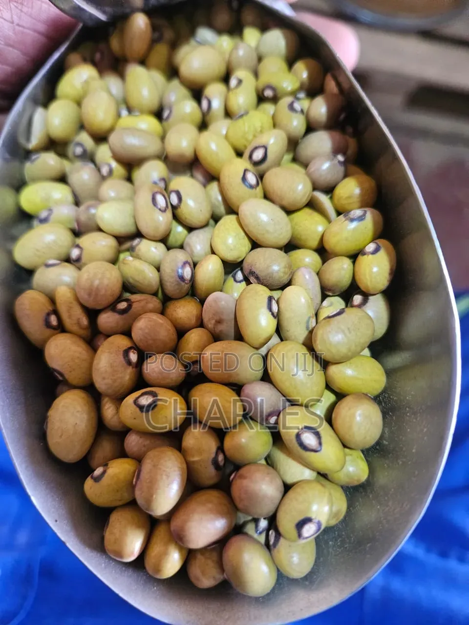 Clean Sorted Grains