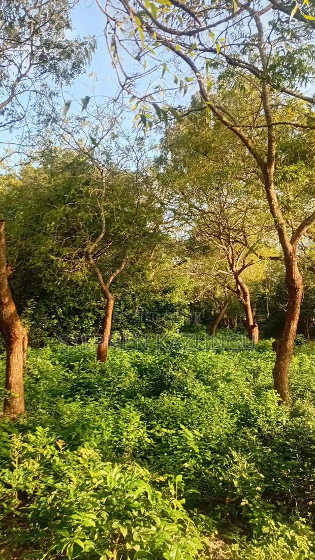 Galu Beach 1 Acre Plot on Sale at Kosovo Area.